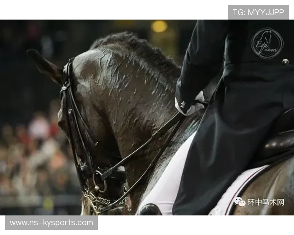 哥伦比亚骑手胡利安娜·古铁雷斯在2024年巴黎奥运会盛装舞步比赛中取得第25名，展现出色表现。